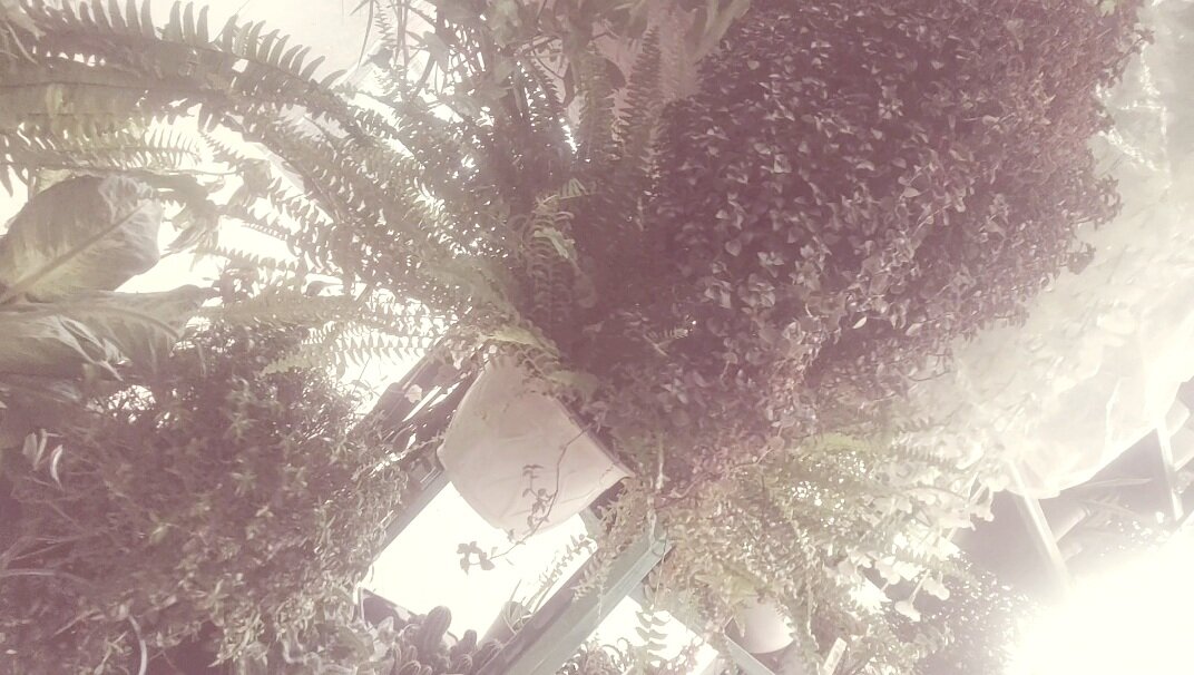 13  ОПЕН (762) - OPEN WAYS ALL