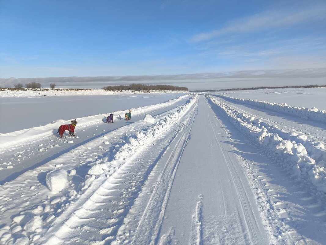Зимник - Anna Ivanova