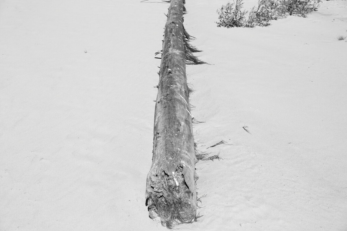 Фотография - Денис Безногов