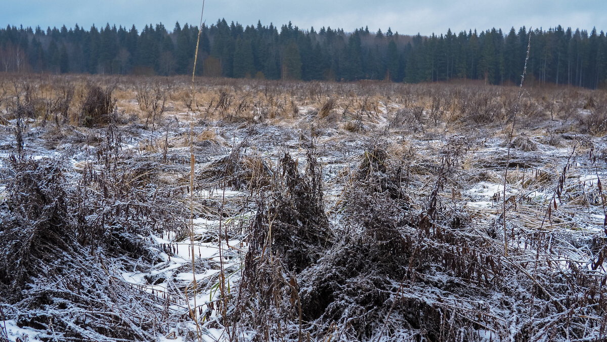 Подмосковные Пейзажи - юрий поляков