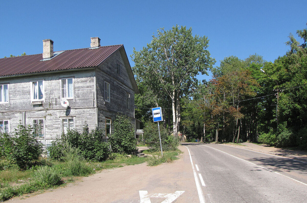 Выборгское шоссе - Александр Ильчевский 