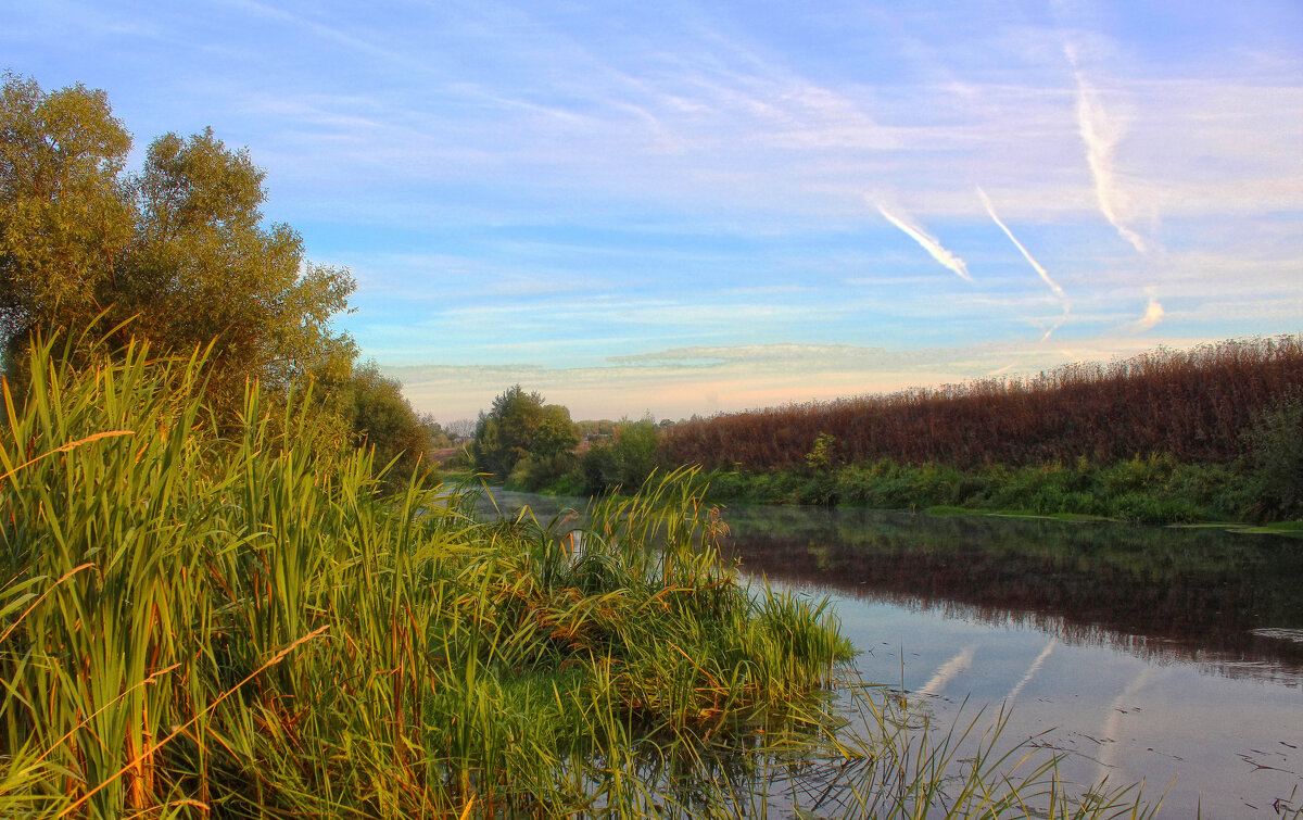 Утро. - Александр. AVG100 --- Утро. - Александр. AVG100 ---