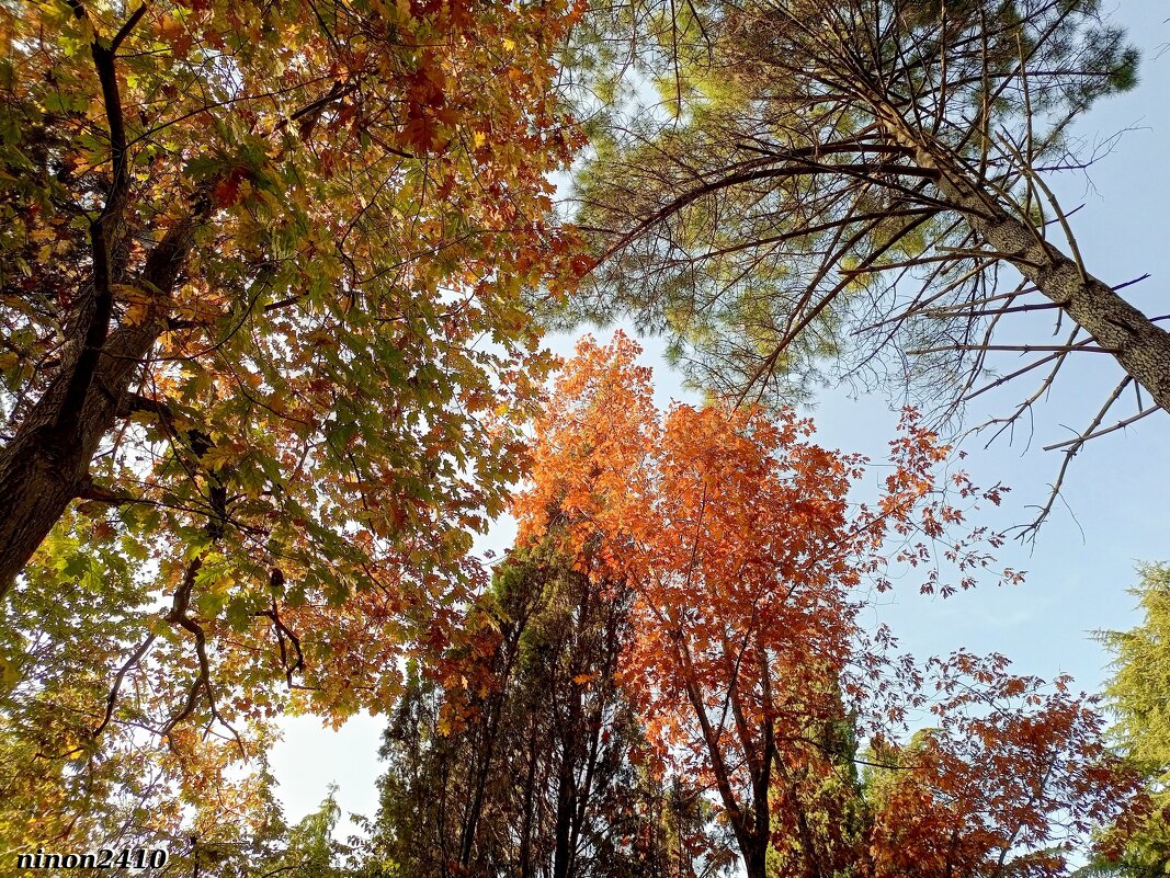 Адлер... ноябрь... - Нина Бутко