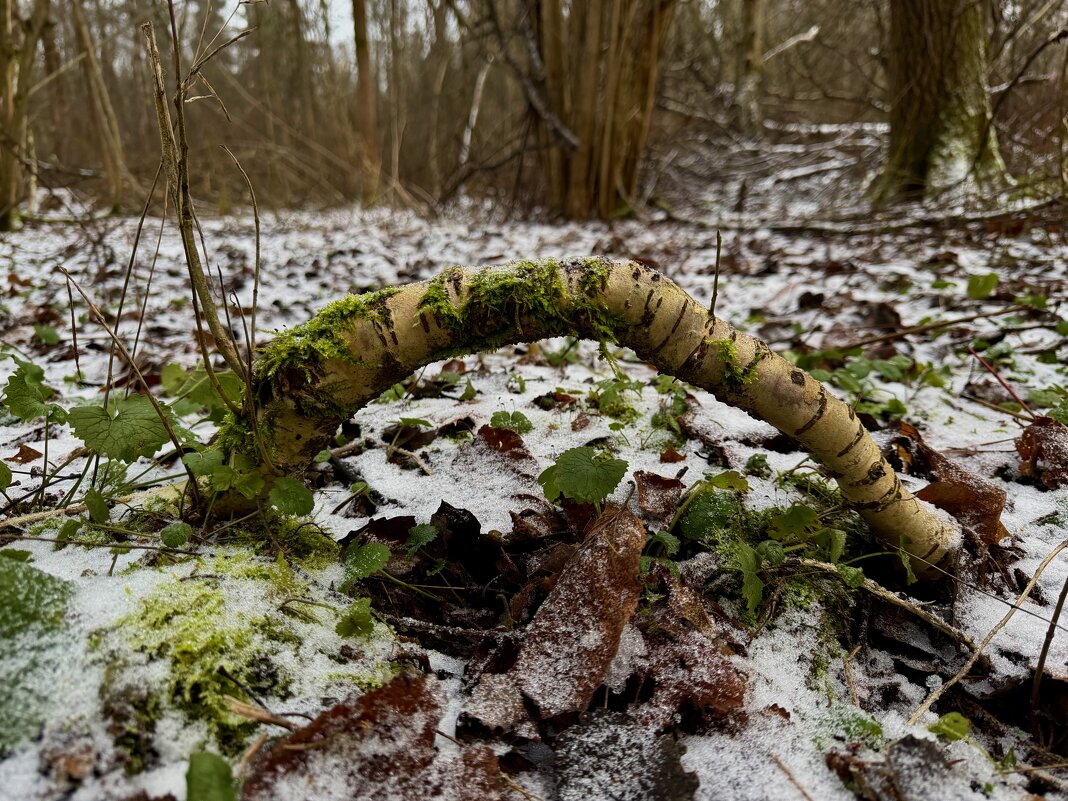 Загогулина. - Любовь 