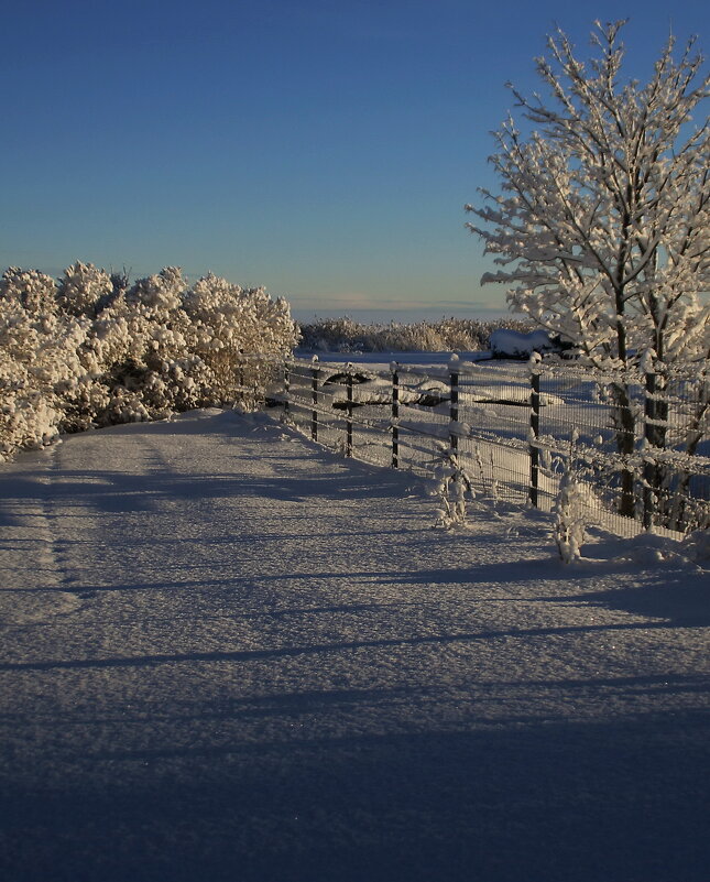 Красивый зимний день .. - Татьян@ Ивановна
