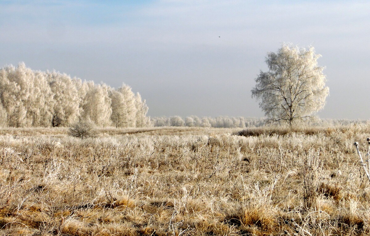 Цвет настроения-белый. - nadyasilyuk Вознюк