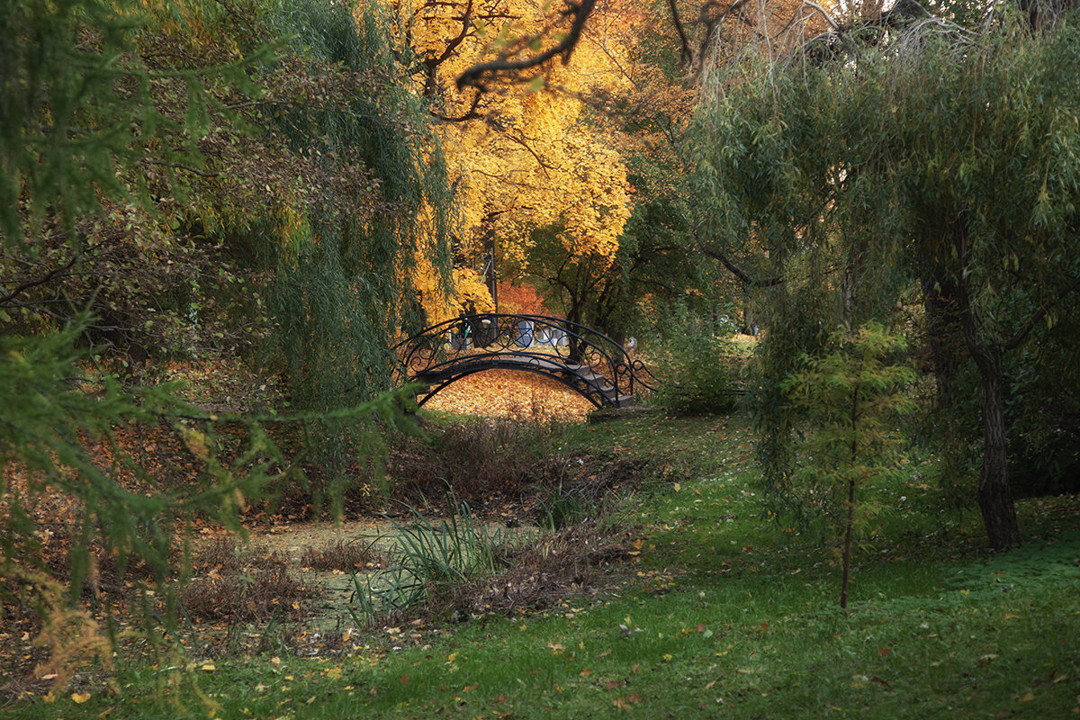 Золотой мостик. - Лилия *