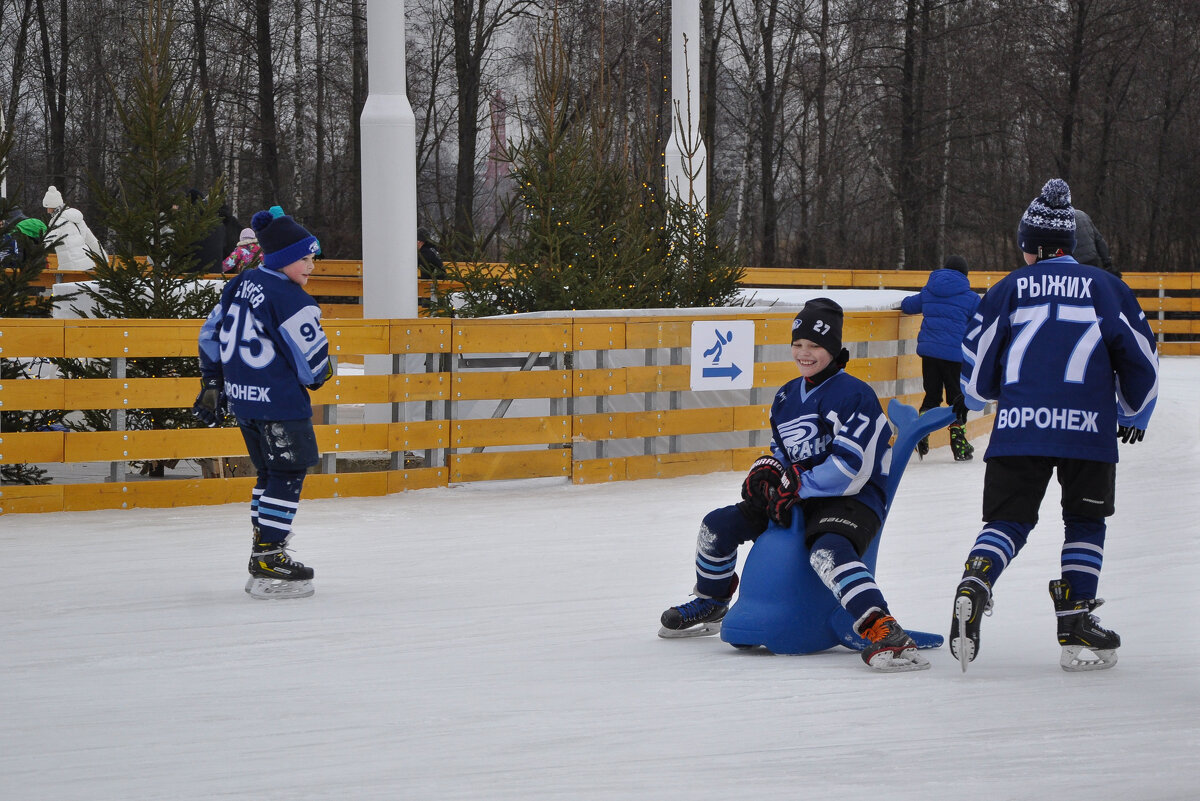 Хоккеисты - Татьяна Машошина