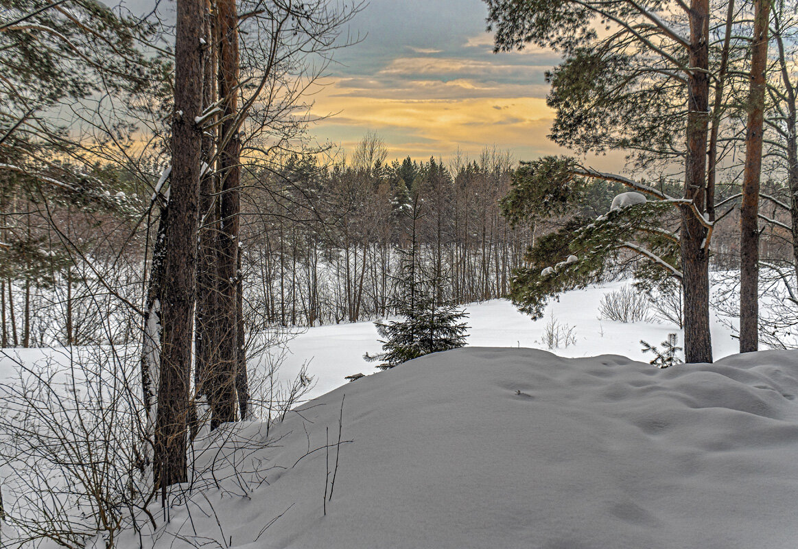 123 - Александр Иванович Шитов