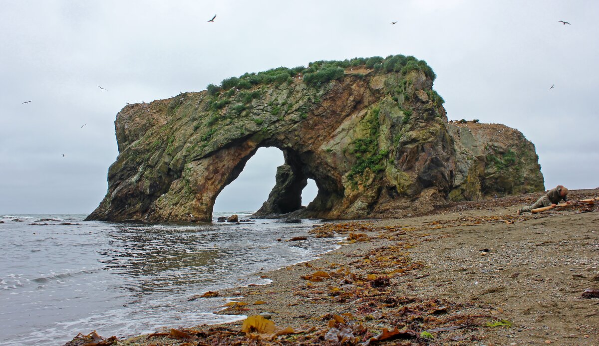Слоновьи ноги - Владимир Соколов (svladmir)
