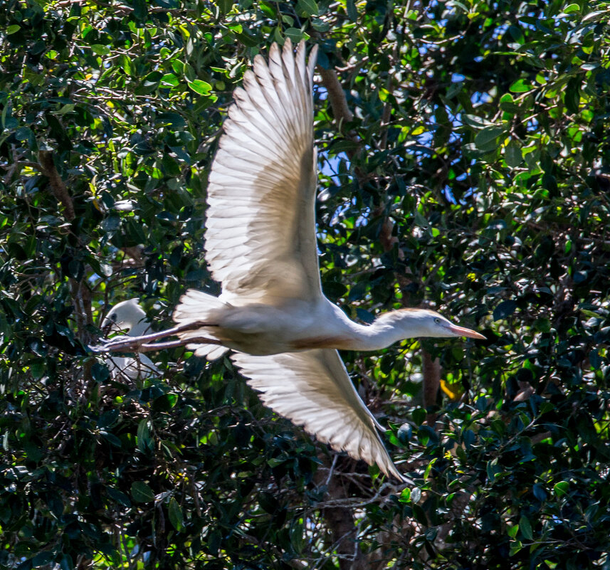 תל אביב - Андрей 