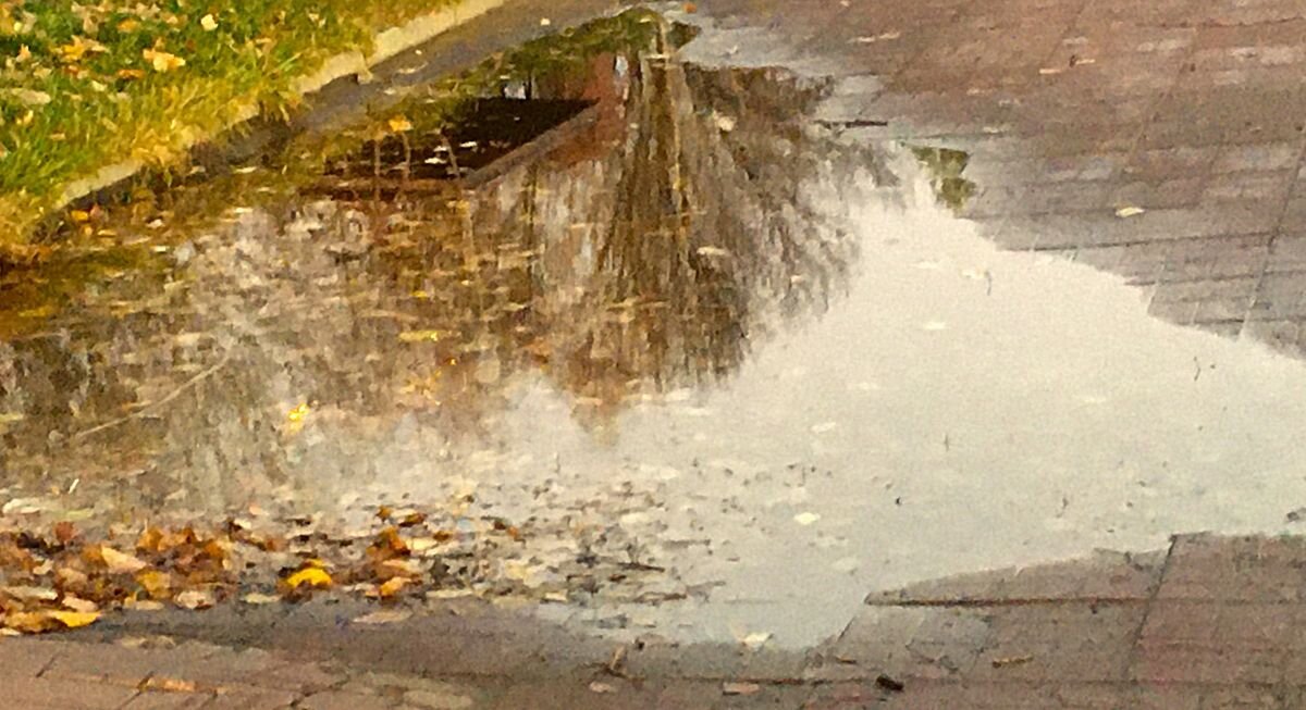 ***отражение в луже*** - Olga Oskolkova ***отражение в луже*** - Olga Oskolkova