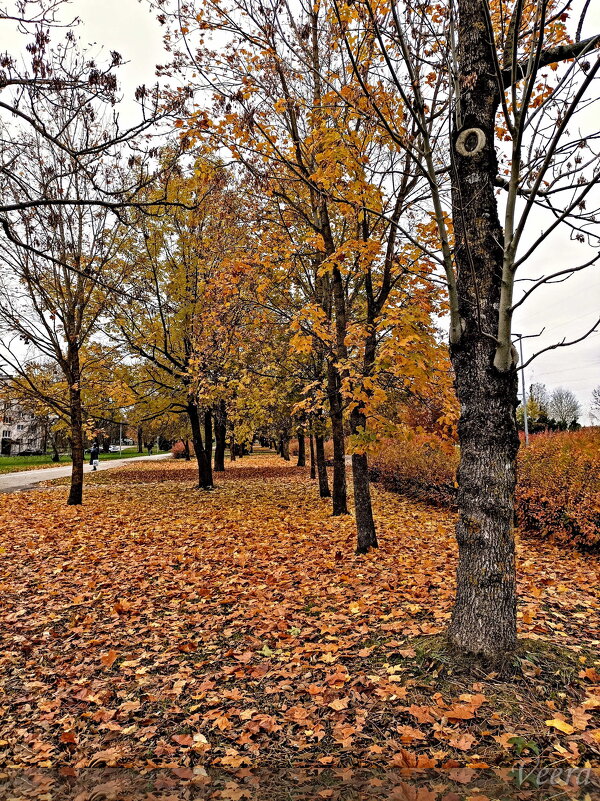 Аллея - Veera V