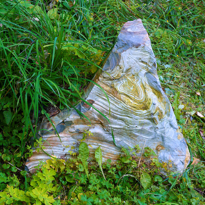 Ревневская яшма - Дмитрий Конев