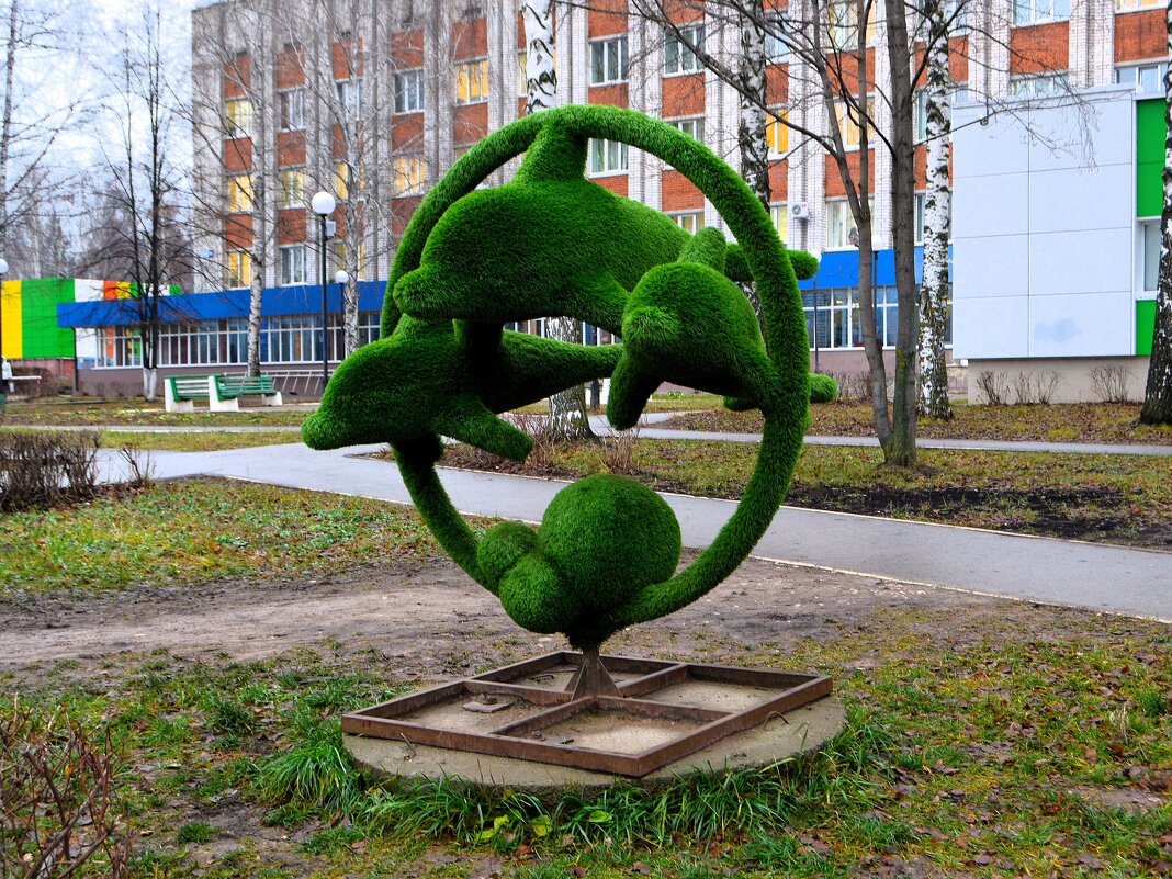 Новочебоксарск. Топиарий "Дельфины". - Пётр Чернега