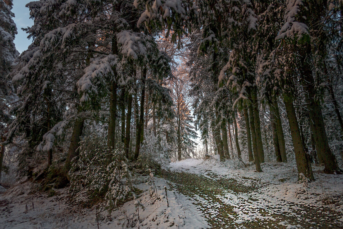 Дорожка - Сергей Цветков