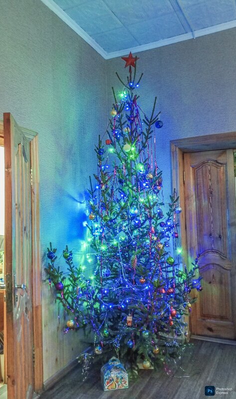 Новогодняя ель - Юлия Денискина