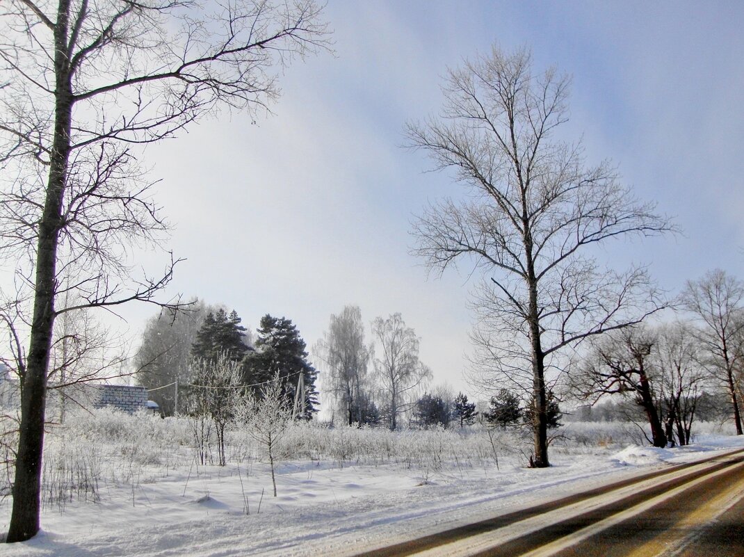малоснежно... - Галина Флора