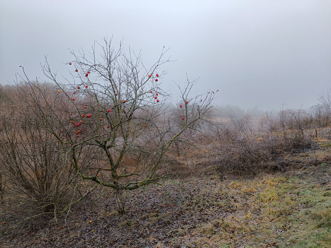 Вот такая у нас нынче зима - Sergei Vikulov