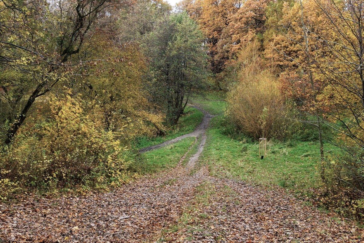 Ашманн парк, Калининград - Рита Симонова
