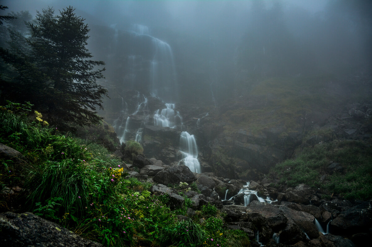 Волшебное место - Лилия .