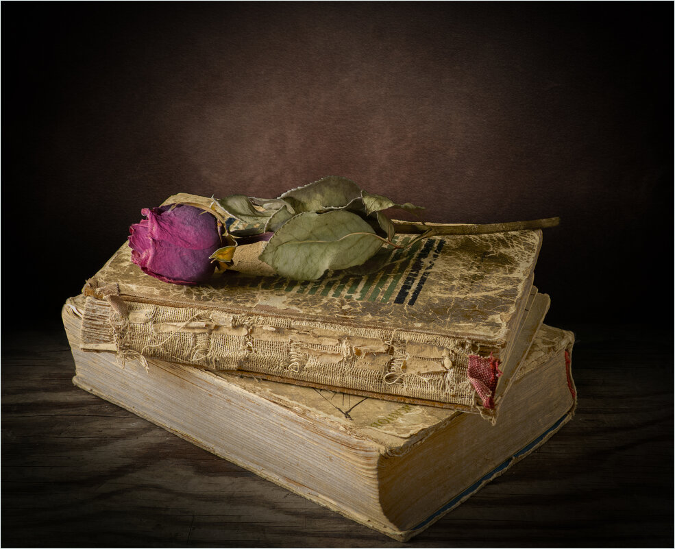 Сухая роз и старые книги.... - Алексей Мезенцев Сухая роз и старые книги.... - Алексей Мезенцев