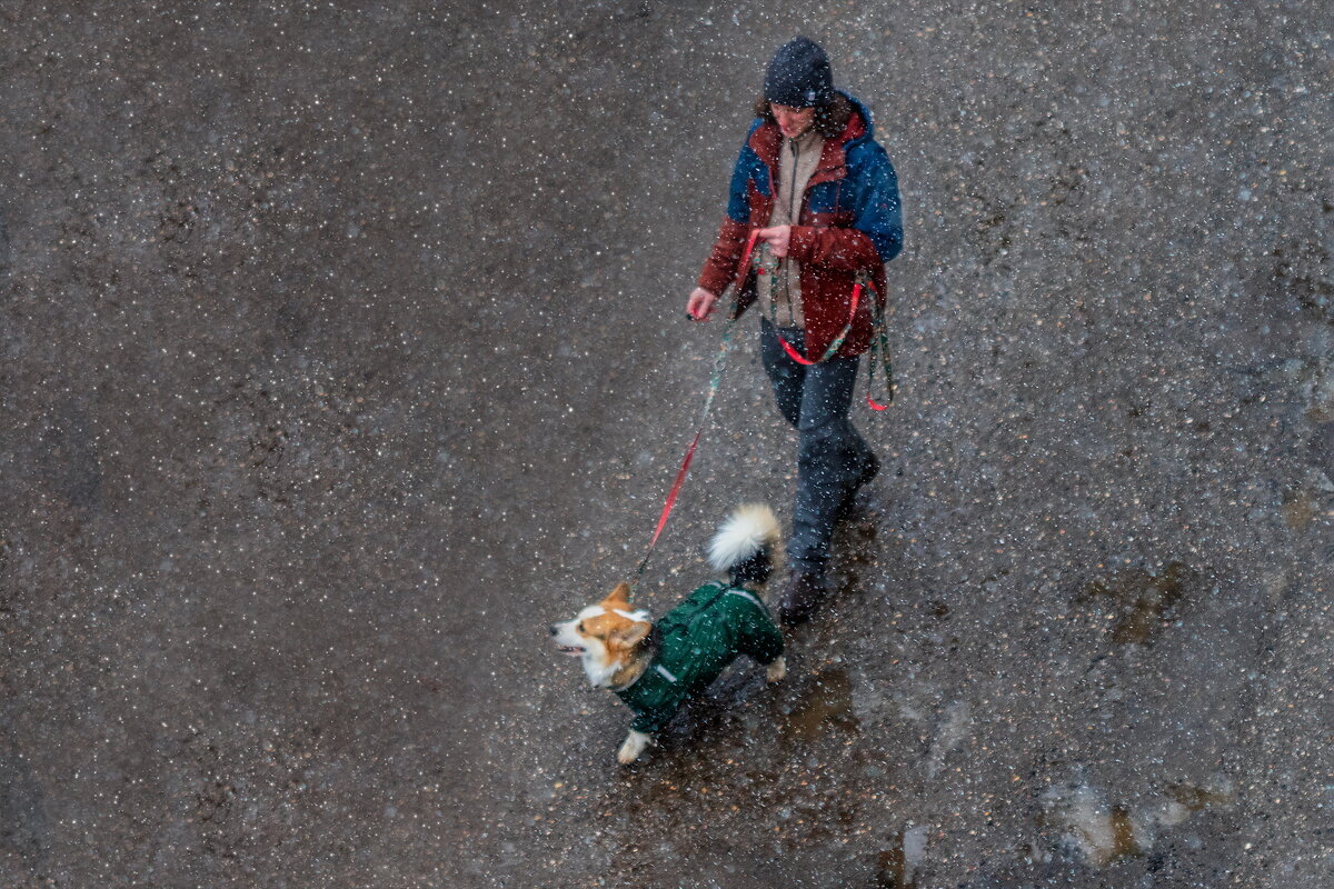 В такую погоду Вы сидите дома ... если у Вас нет собаки. - Анатолий. Chesnavik.