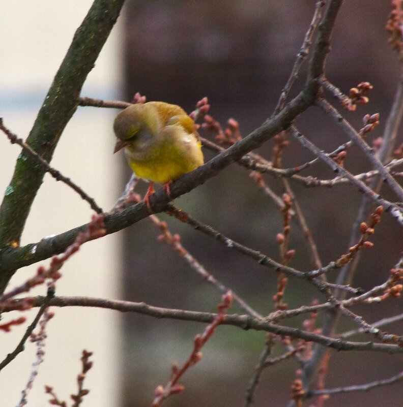 Интересно, что там внизу ?.. - Юрий Куликов