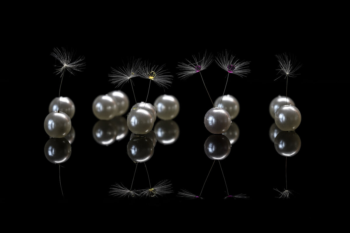 Жемчужный сад - Игорь Шевченко