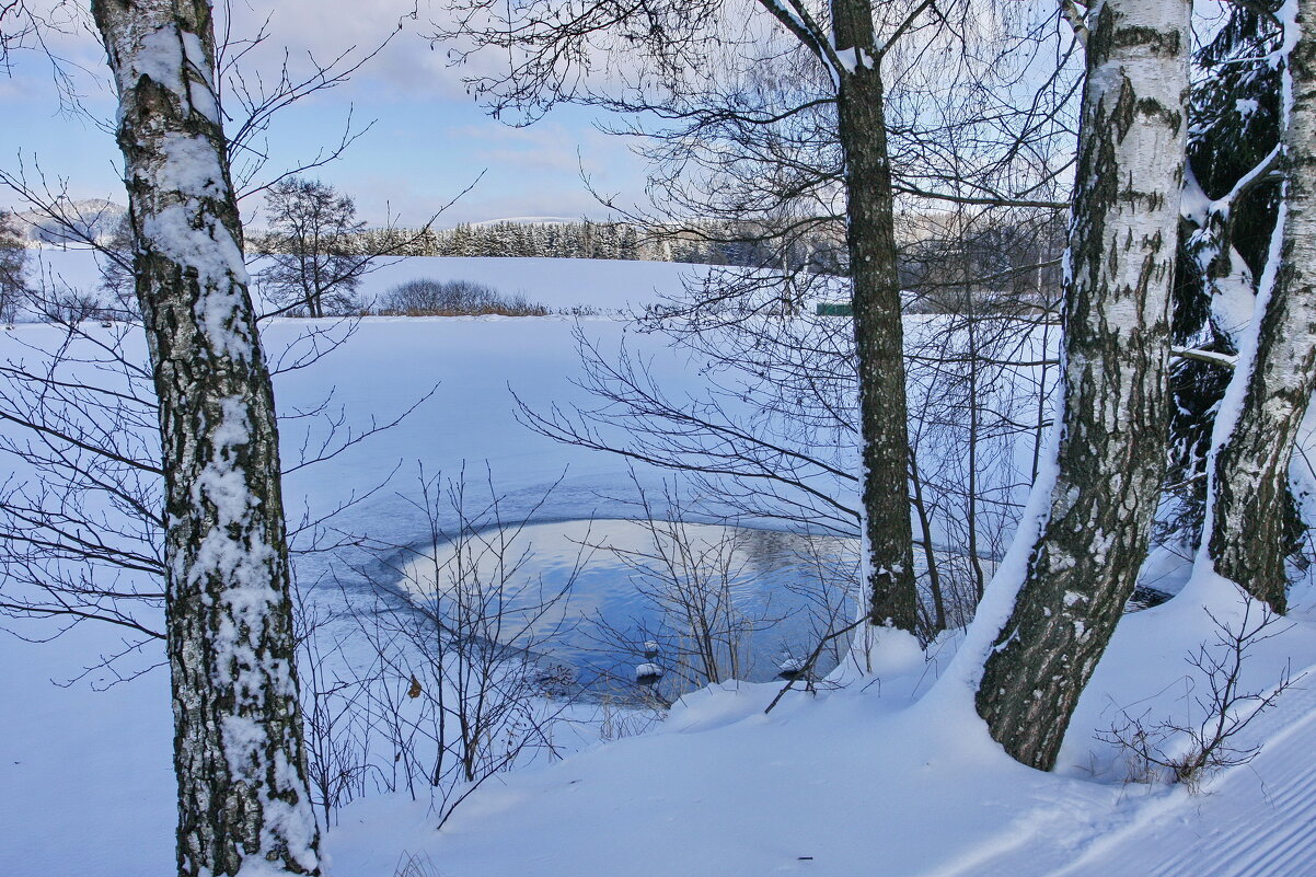 "И стоят берёзы в сонной тишине" - Ирэн "И стоят берёзы в сонной тишине" - Ирэн