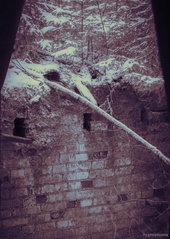 без названия - fogmeadowww m