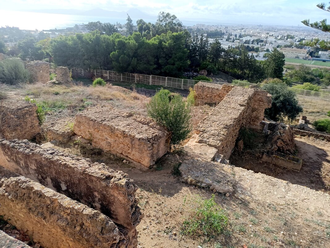 Карфаген, Тунис - Елена 