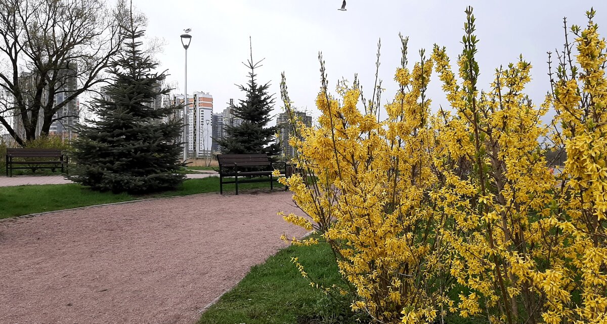 Весна 2025. Май - Наталья Герасимова