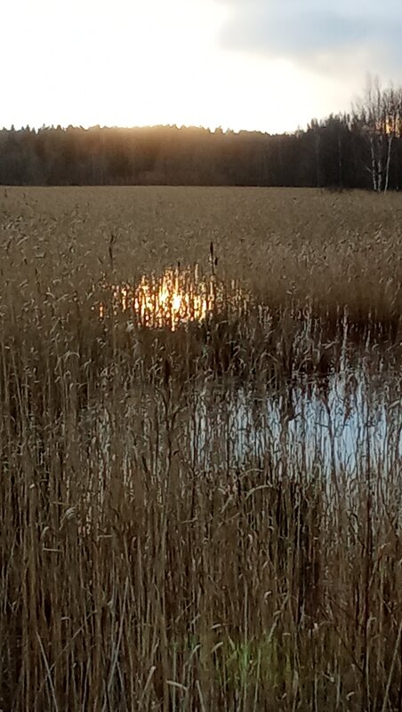 *** - Ольга Попова (popova/j2011)