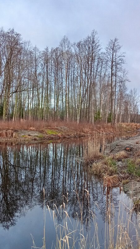 *** - Ольга Попова (popova/j2011)