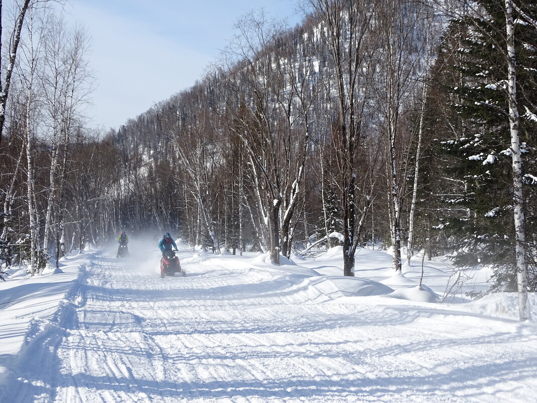 Покатушки - Павел Трунцев