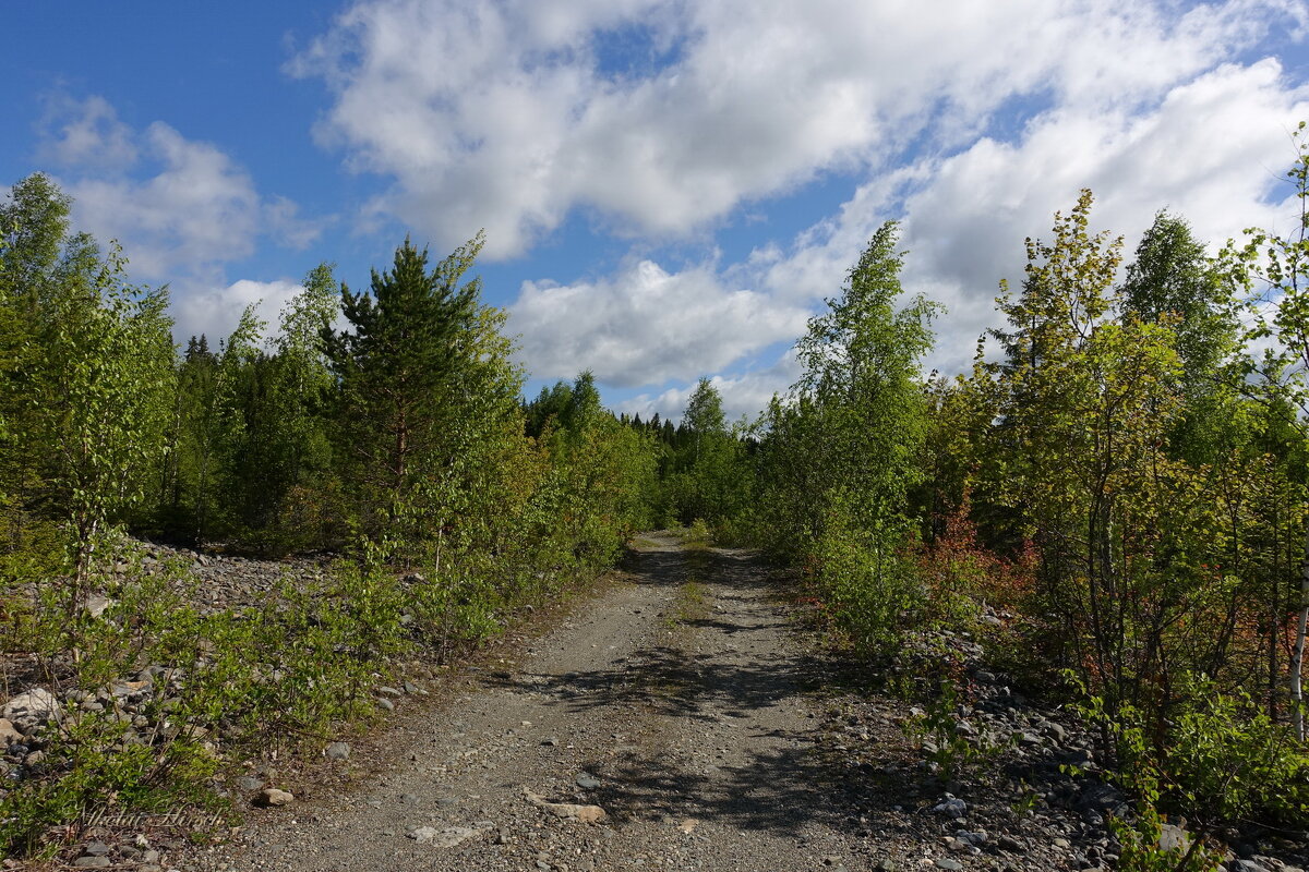 По Уралу... - Николай Гирш