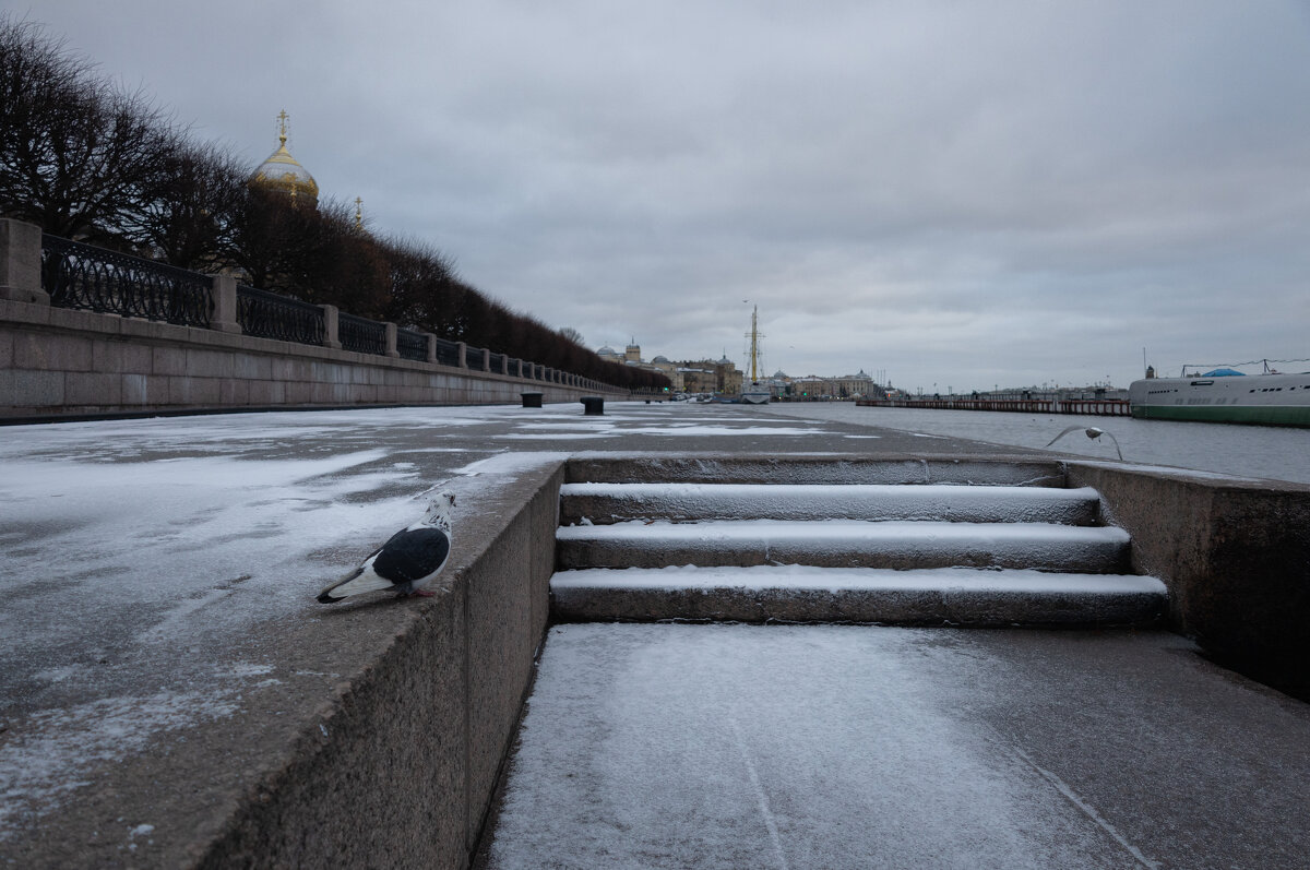 * - Светлана Воробьева