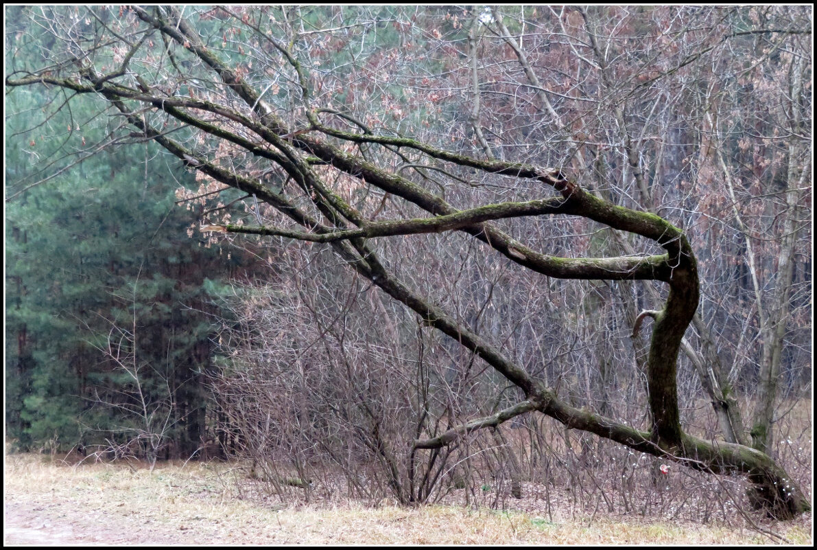 Декабрь в миноре. - Егор Бабанов