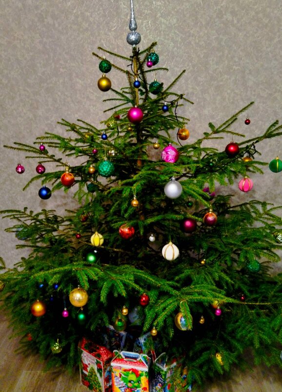 Дома тоже поставили) - Галина Бобкина