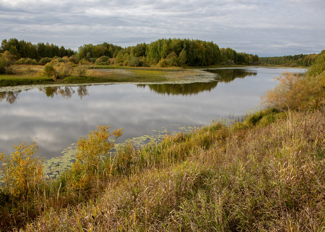 На лесном озере. - Андрей Дурапов