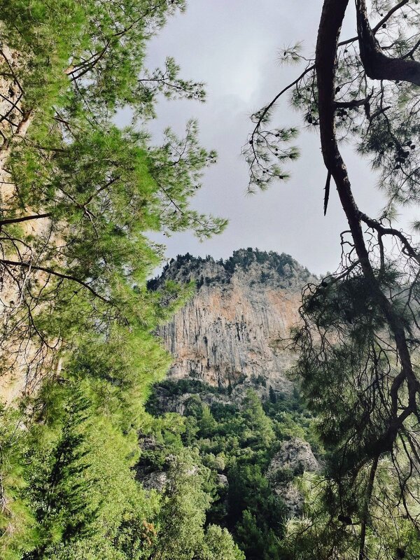 Турция - Георгиевич 