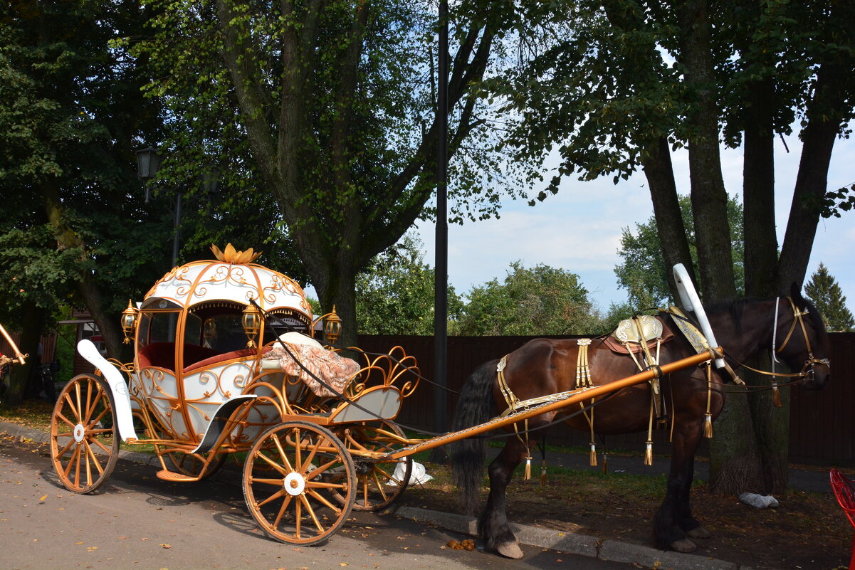 карета  для Золушки - Галина R...