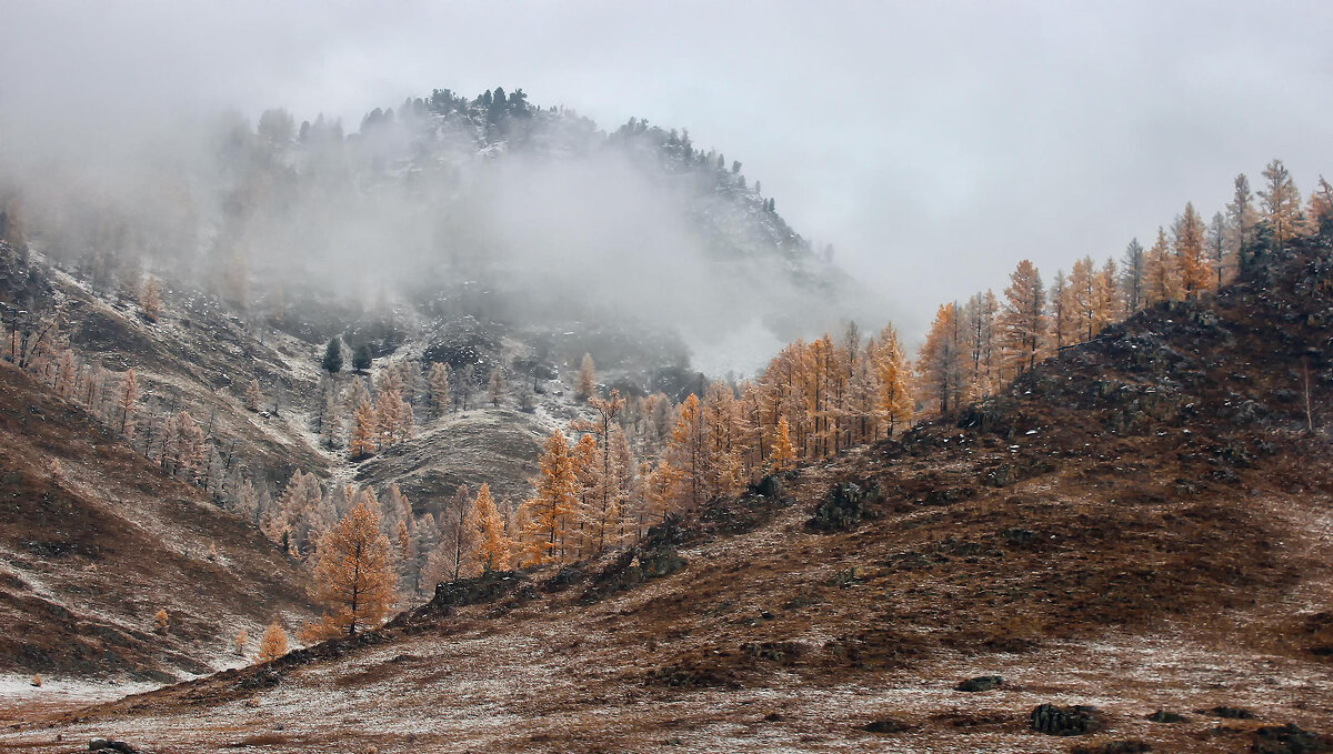 Туман в горах - елена беликова