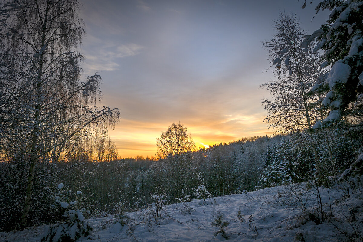 Зимнее утро - Сергей Цветков