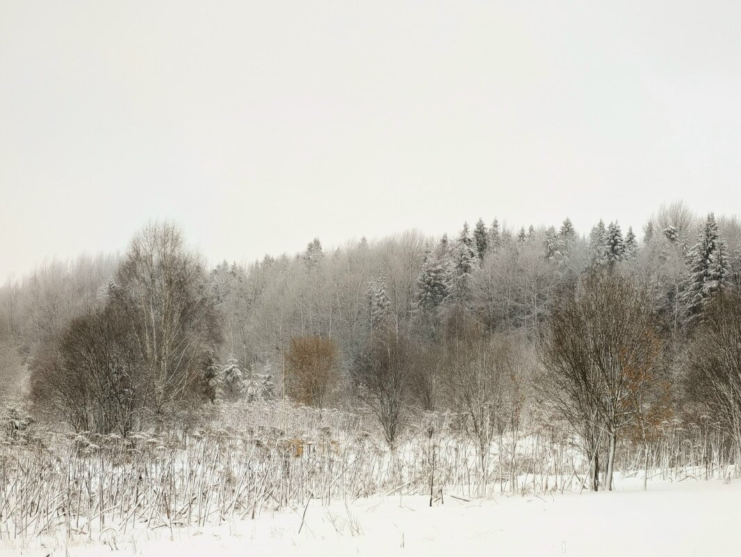 Даже самые сильные метели начинаются с одной снежинки. - Анастасия Логинова