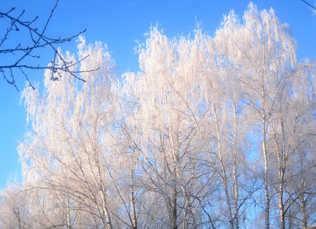 Мороз - Елена Семигина