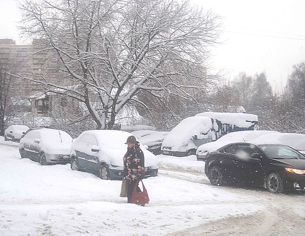А снег идет... - Елена Семигина