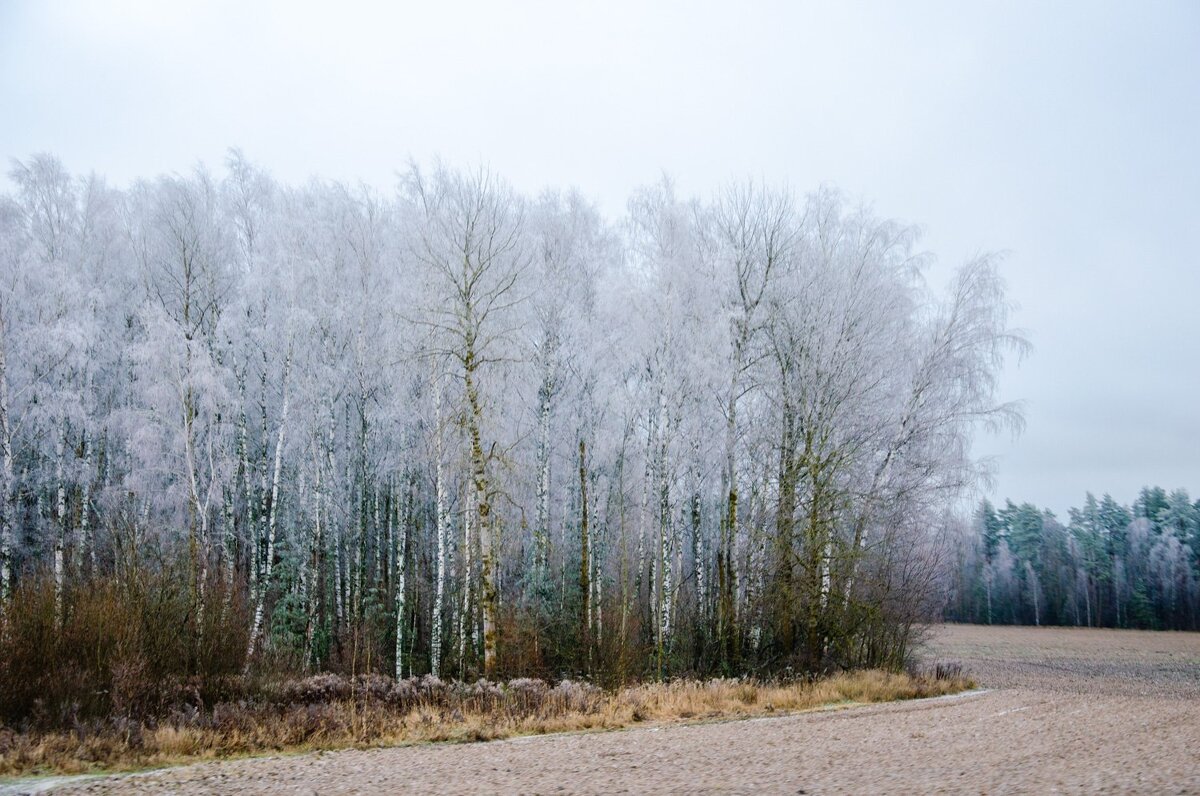 _______ - Галина Ложечникова