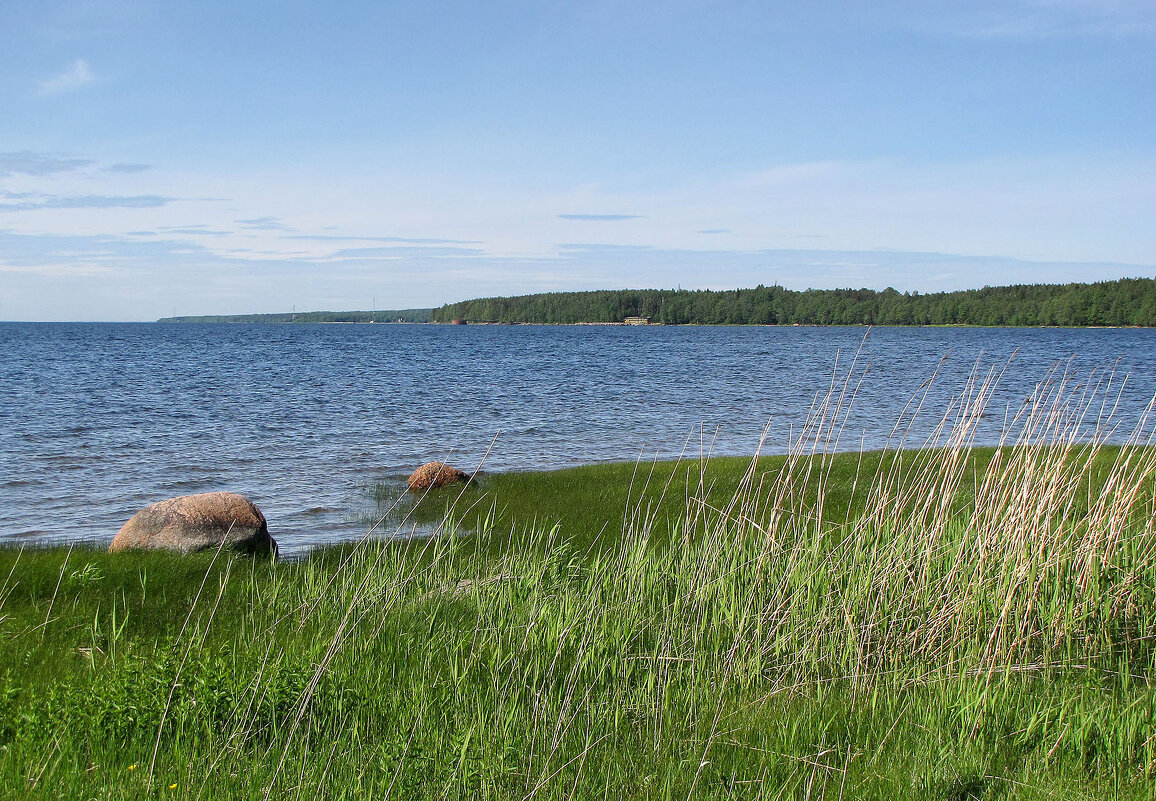 Финский залив - Александр Ильчевский 